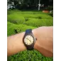 Dřevěné hodinky TimeWood BRUCE Dřevěné hodinky TimeWood BRUCE