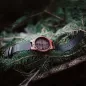 Dřevěné hodinky TimeWood CASSA Dřevěné hodinky TimeWood CASSA