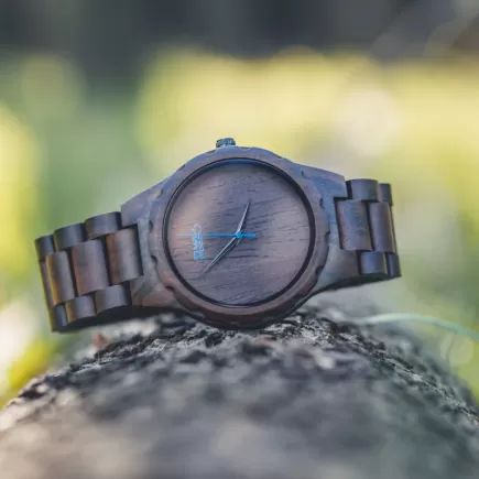 TimeWood NARA