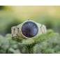 TimeWood BRIZON TimeWood BRIZON
