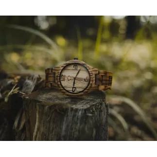TimeWood EGO