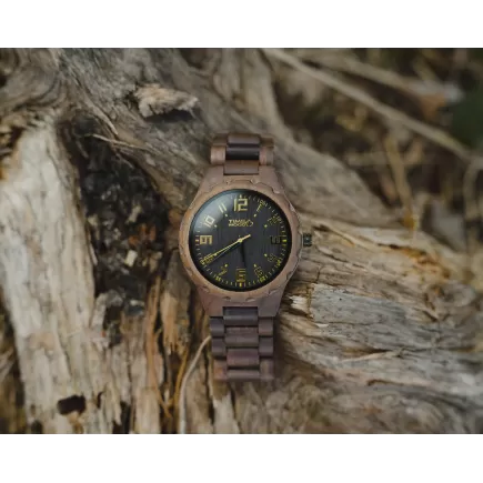 TimeWood REMI
