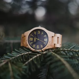 TimeWood FARGO