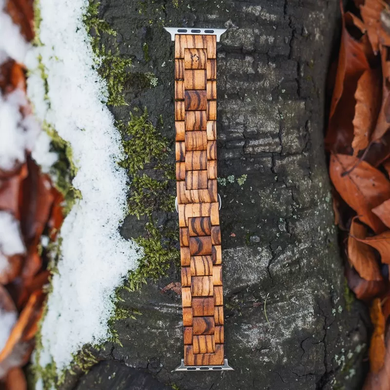 Apple Watch Band Z Apple Watch Band Z