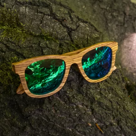 TimeWood ROOT